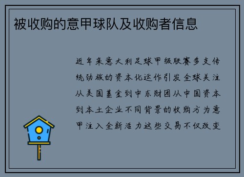 被收购的意甲球队及收购者信息